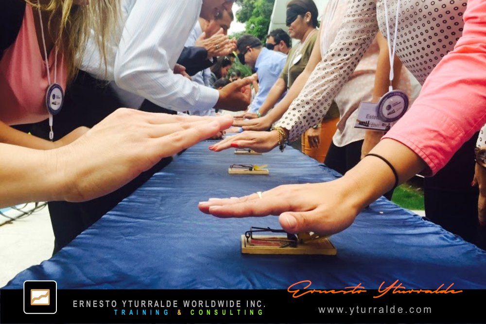 Team Building Ecuador Talleres de Cuerdas Bajas | Team Building Empresarial para el desarrollo de equipos de trabajo en Quito